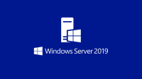 P71-09051 Microsoft Win Svr Datacntr 2019 64Bit Russian 1pk DSP OEI DVD 24 Core	 
